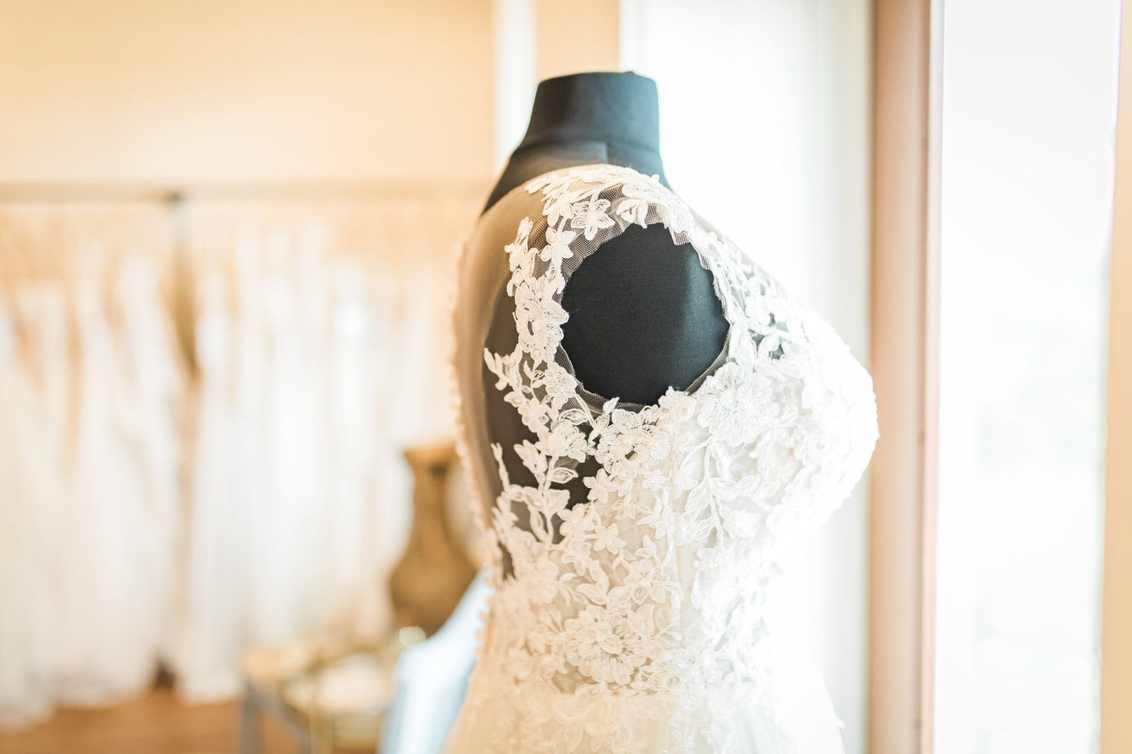 Cleo Bridal | White Traditions Sister-Store | O'Fallon, MO | Bridal Shop | Allison Slater Photography25.jpg