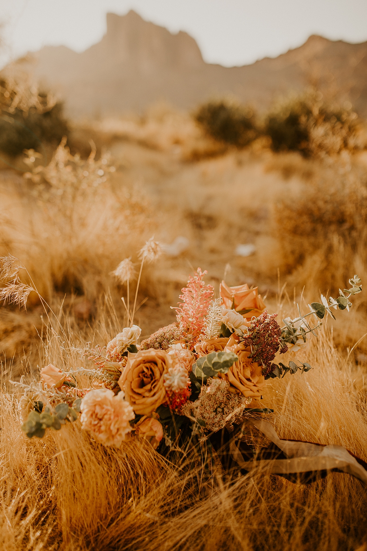 superstition-mountain-peralta-trail-elopement-allison-slater-photography5.jpg