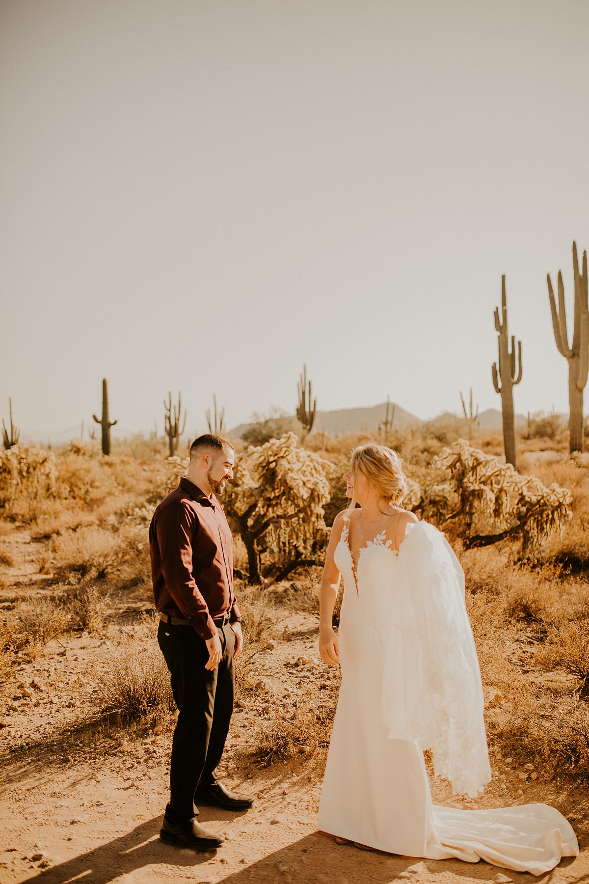 desert-bridal-photos-in-phoenix-arizona-Allison-slater-photography3.jpg