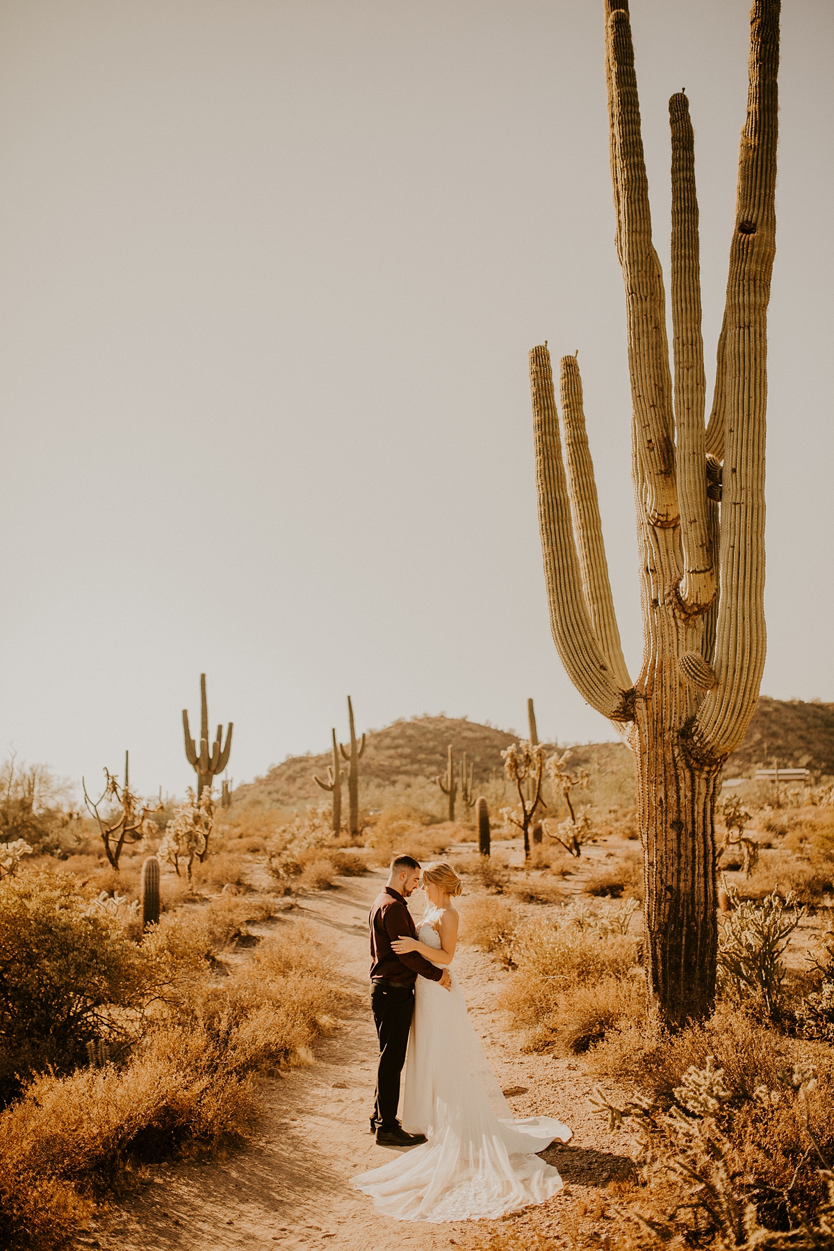 desert-bridal-photos-in-phoenix-arizona-Allison-slater-photography6.jpg