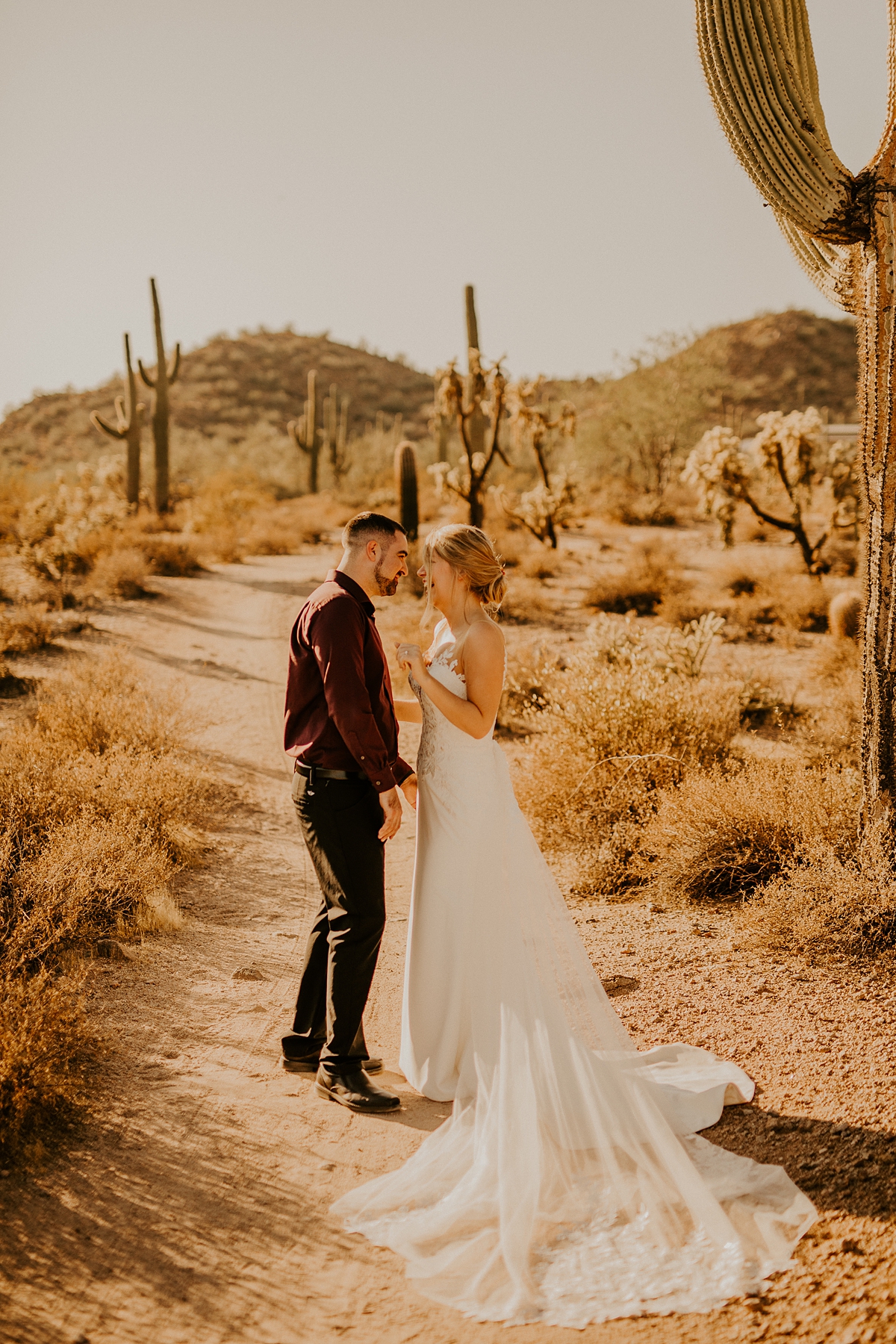 desert-bridal-photos-in-phoenix-arizona-Allison-slater-photography7.jpg
