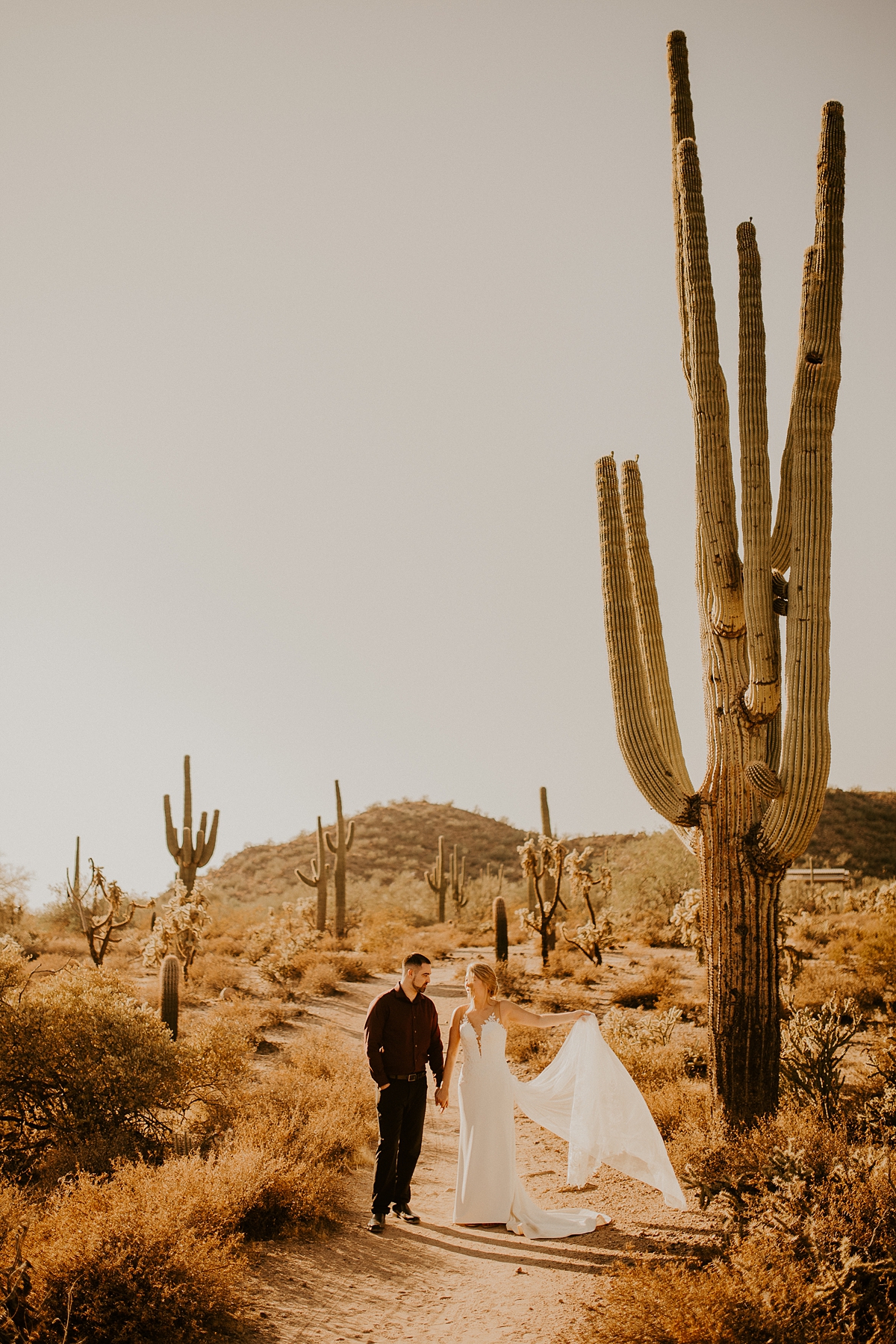desert-bridal-photos-in-phoenix-arizona-Allison-slater-photography9.jpg