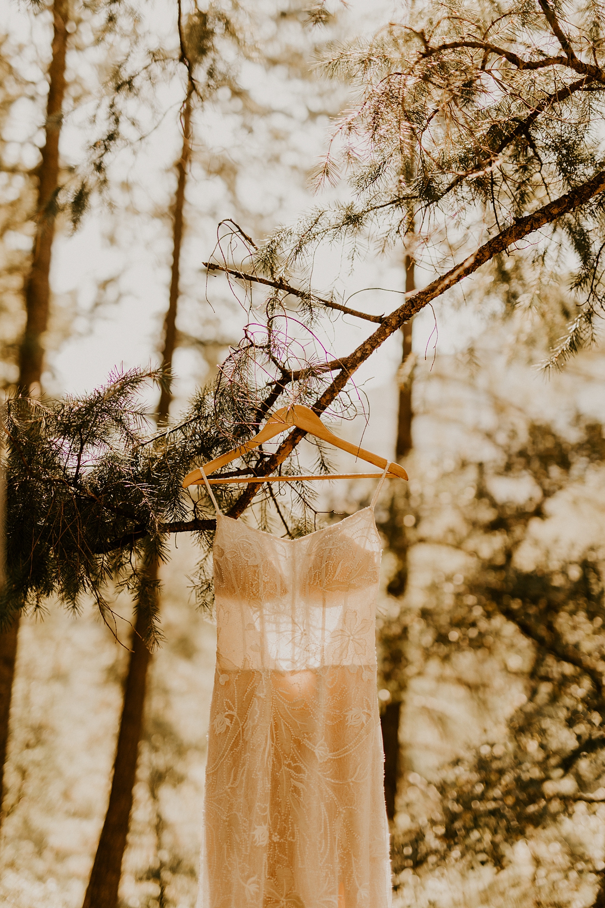 woodsy-intimate-wedding-at-oak-creek-allison-aslater-photography7.jpg