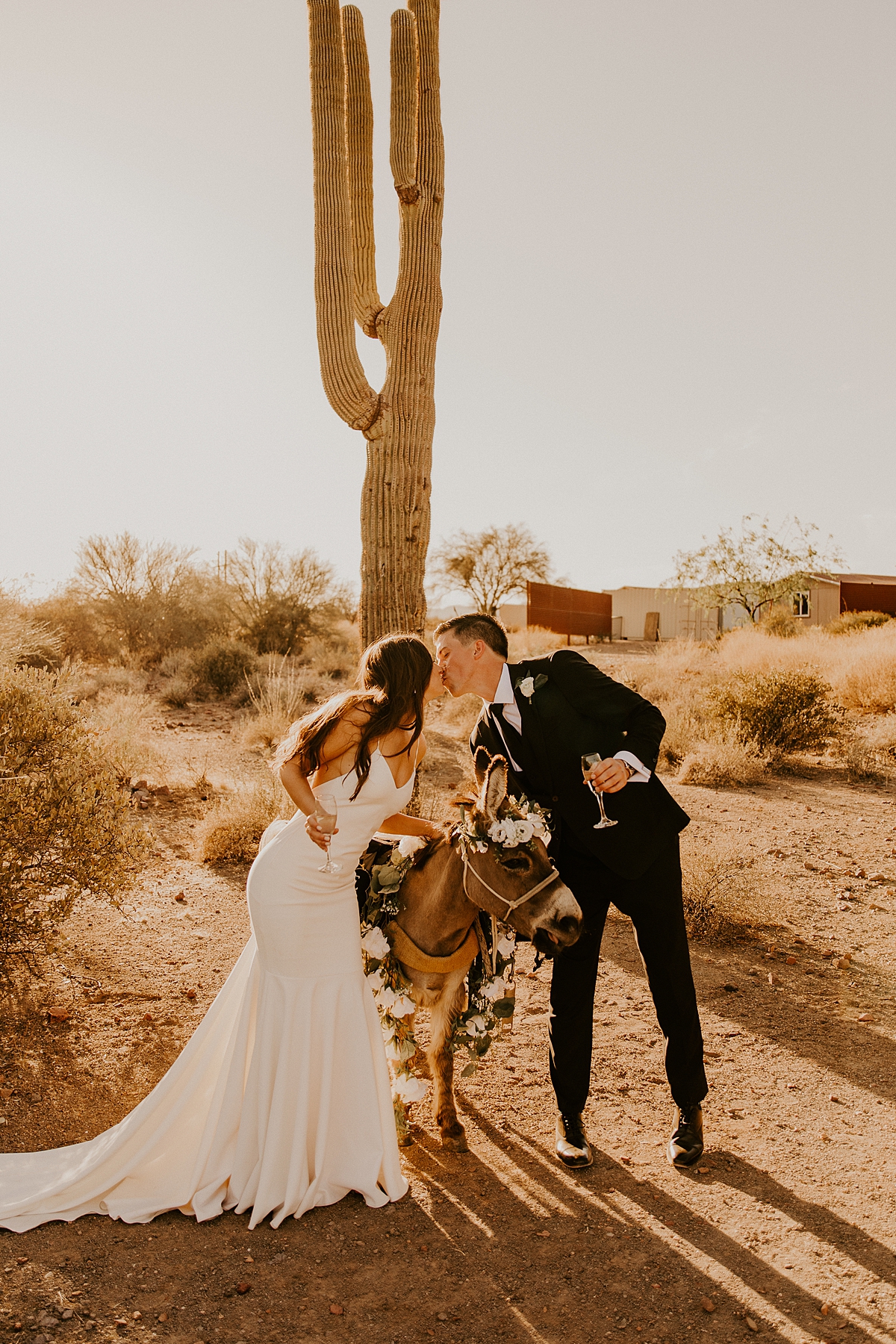 romantic-wedding-day-in-arizona-at-the-paseo-allison-slater-photography-102.jpg