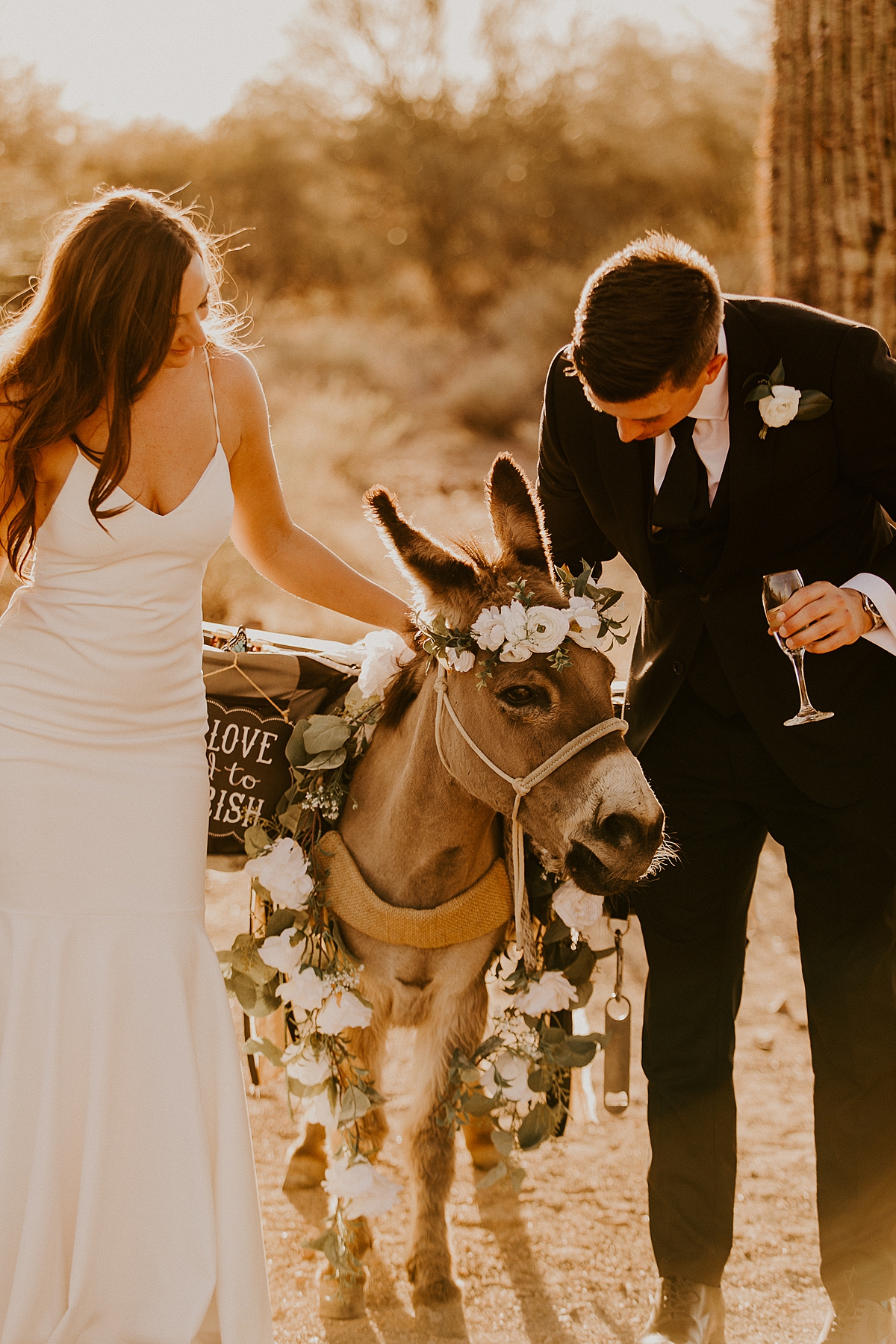 romantic-wedding-day-in-arizona-at-the-paseo-allison-slater-photography-104.jpg