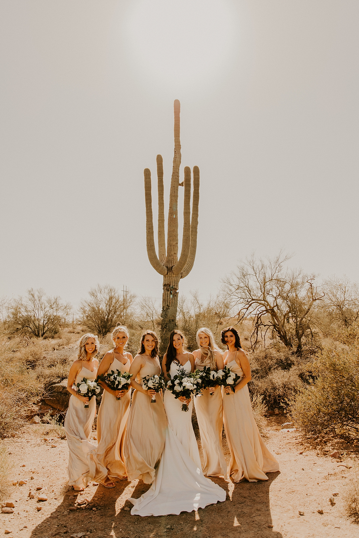 romantic-wedding-day-in-arizona-at-the-paseo-allison-slater-photography-61.jpg