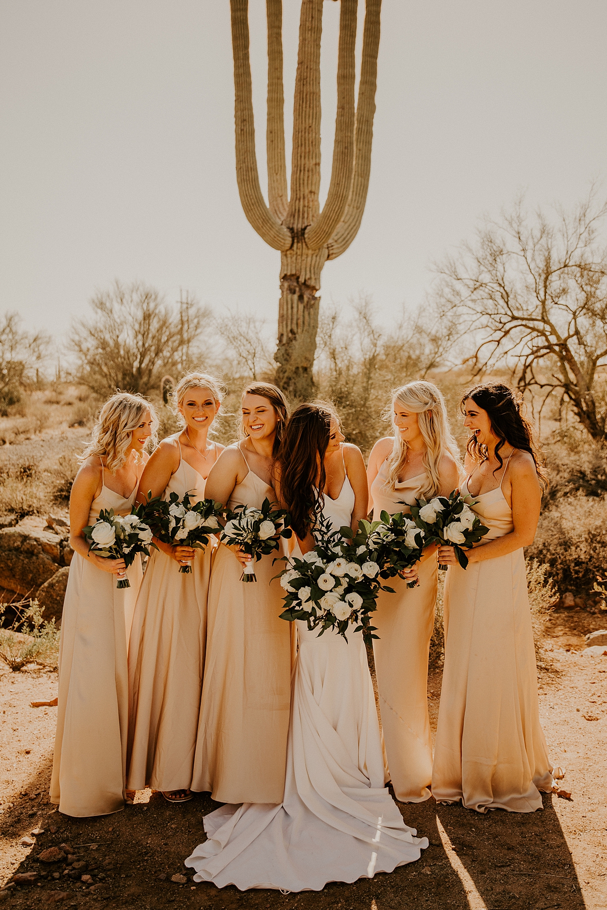 romantic-wedding-day-in-arizona-at-the-paseo-allison-slater-photography-64.jpg